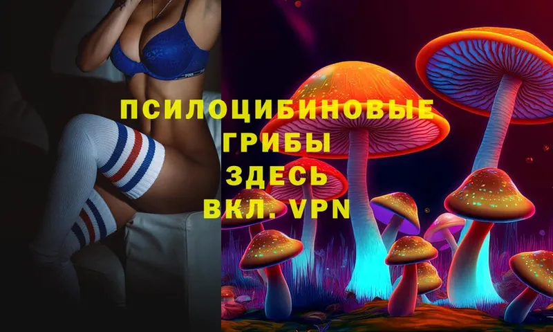 Галлюциногенные грибы Magic Shrooms  Кувшиново 